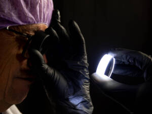 microscoop-service microscoop service nikon